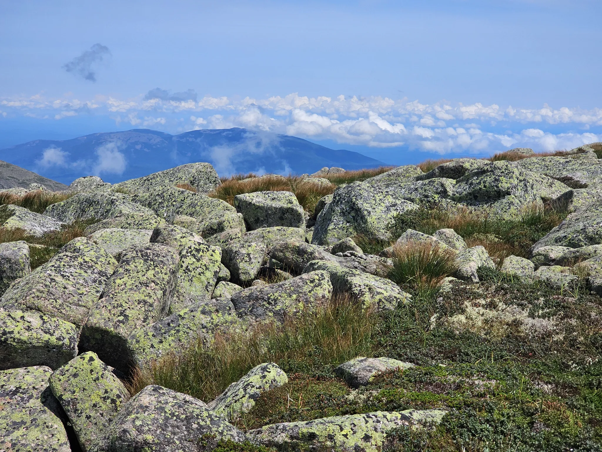 Hike Mt Katahdin via Chimney Pond and Saddle Trail (Photo 7 of 26)