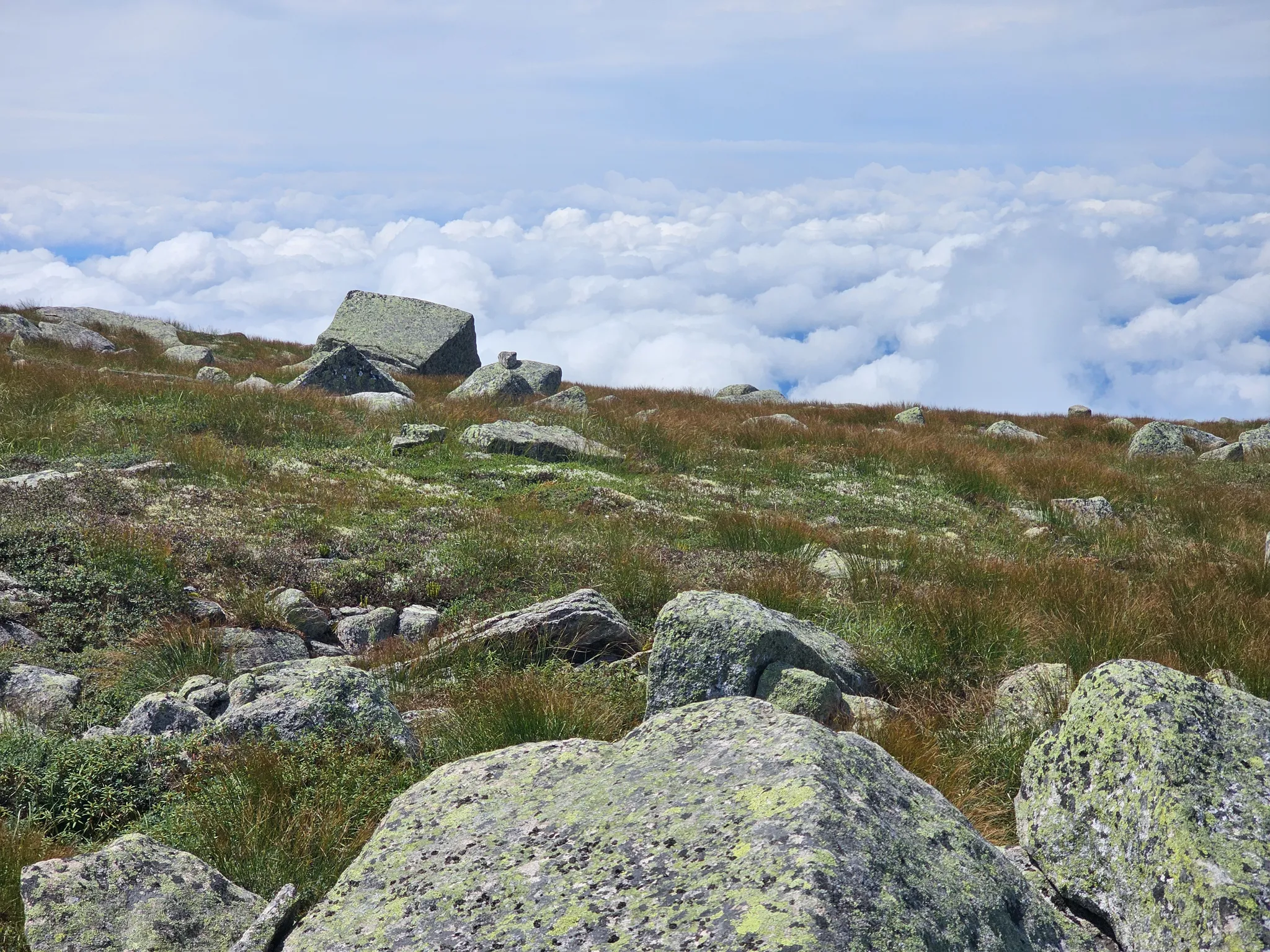 Hike Mt Katahdin via Chimney Pond and Saddle Trail (Photo 4 of 26)